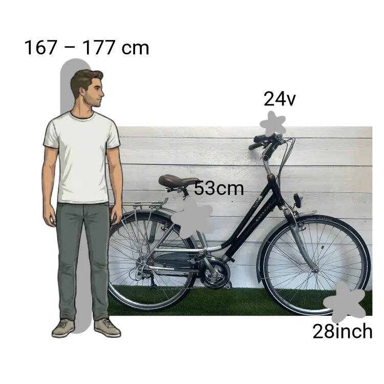 Bicicletta usata Batavus Com4 2/4
