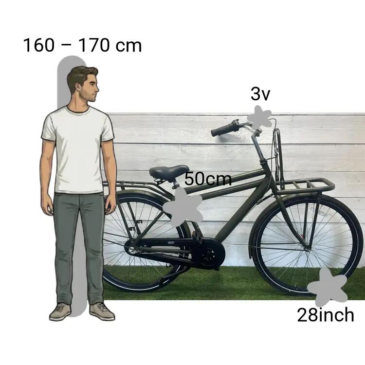 Bicicletta usata Spirit Cargo 2/4