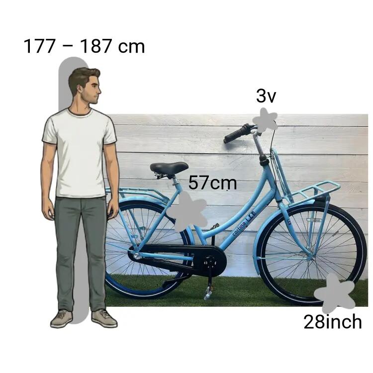 Bicicletta usata Cortina U4 2/4