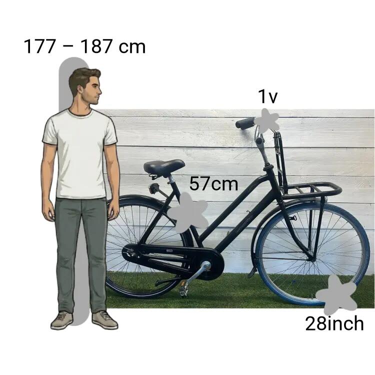 Bicicleta usada Sparta Pick-Up 2/4