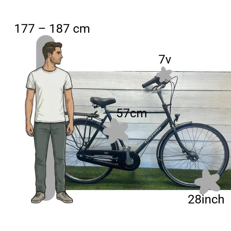 Gebraucht Gazelle Primeur 2/4