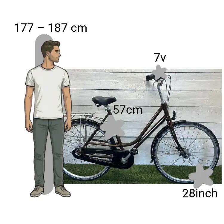 Bicicletta usata Batavus Flash 2/4