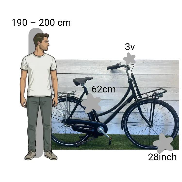Bicicletta usata Batavus CNCTD 2/4
