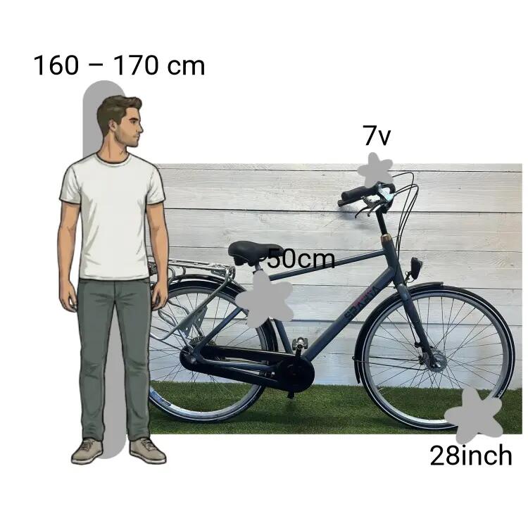 Gebraucht Sparta Regular 2/4