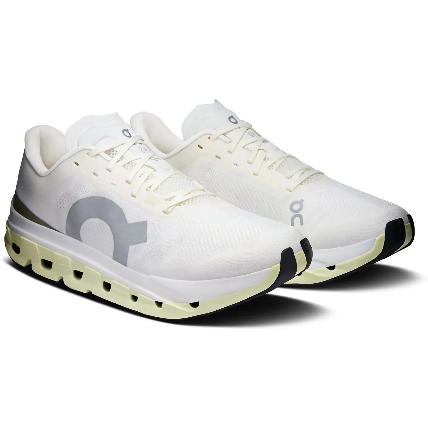 Herren Laufschuh Cloudflow 5 10/10