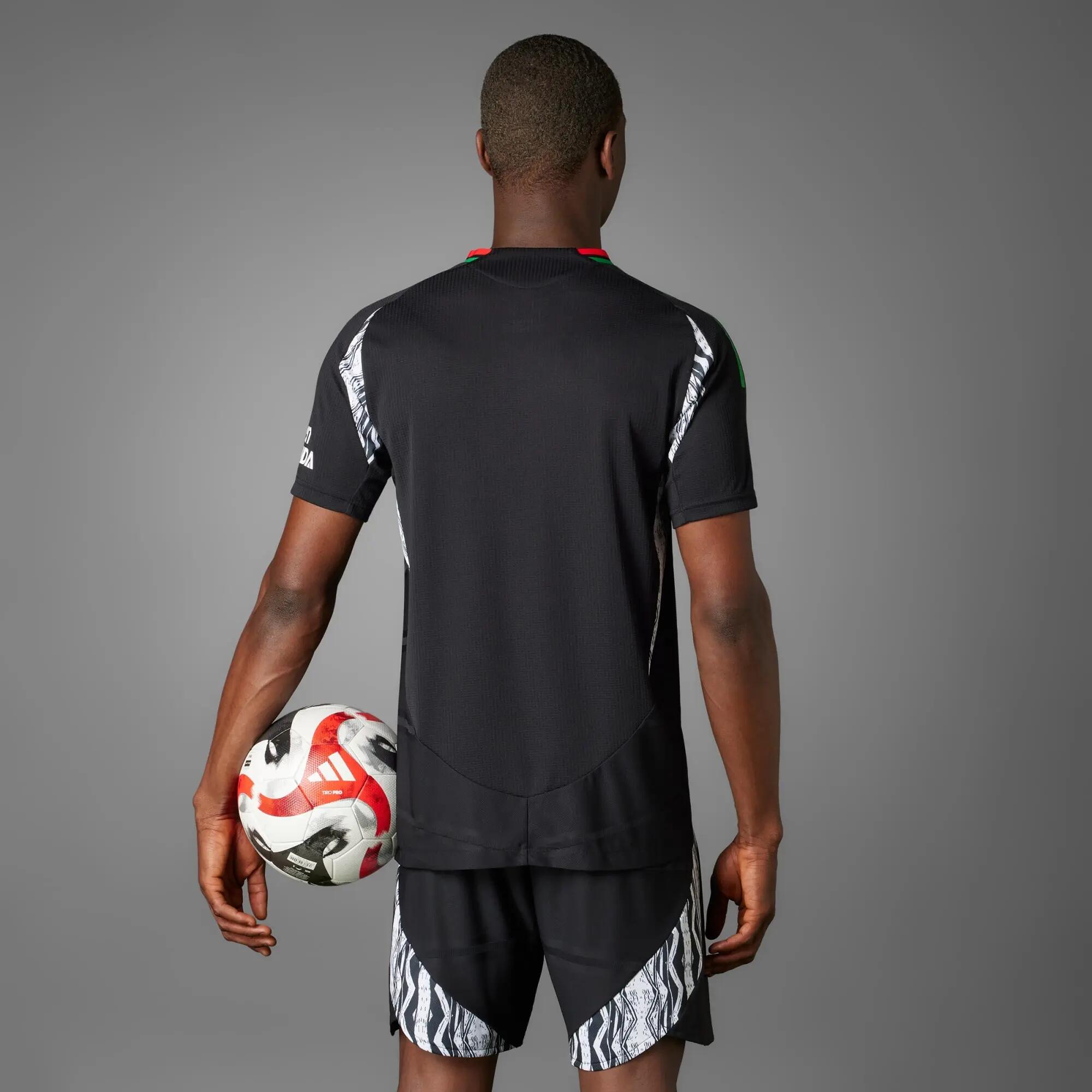 Arsenal 24/25 Authentiek Uitshirt 5/15