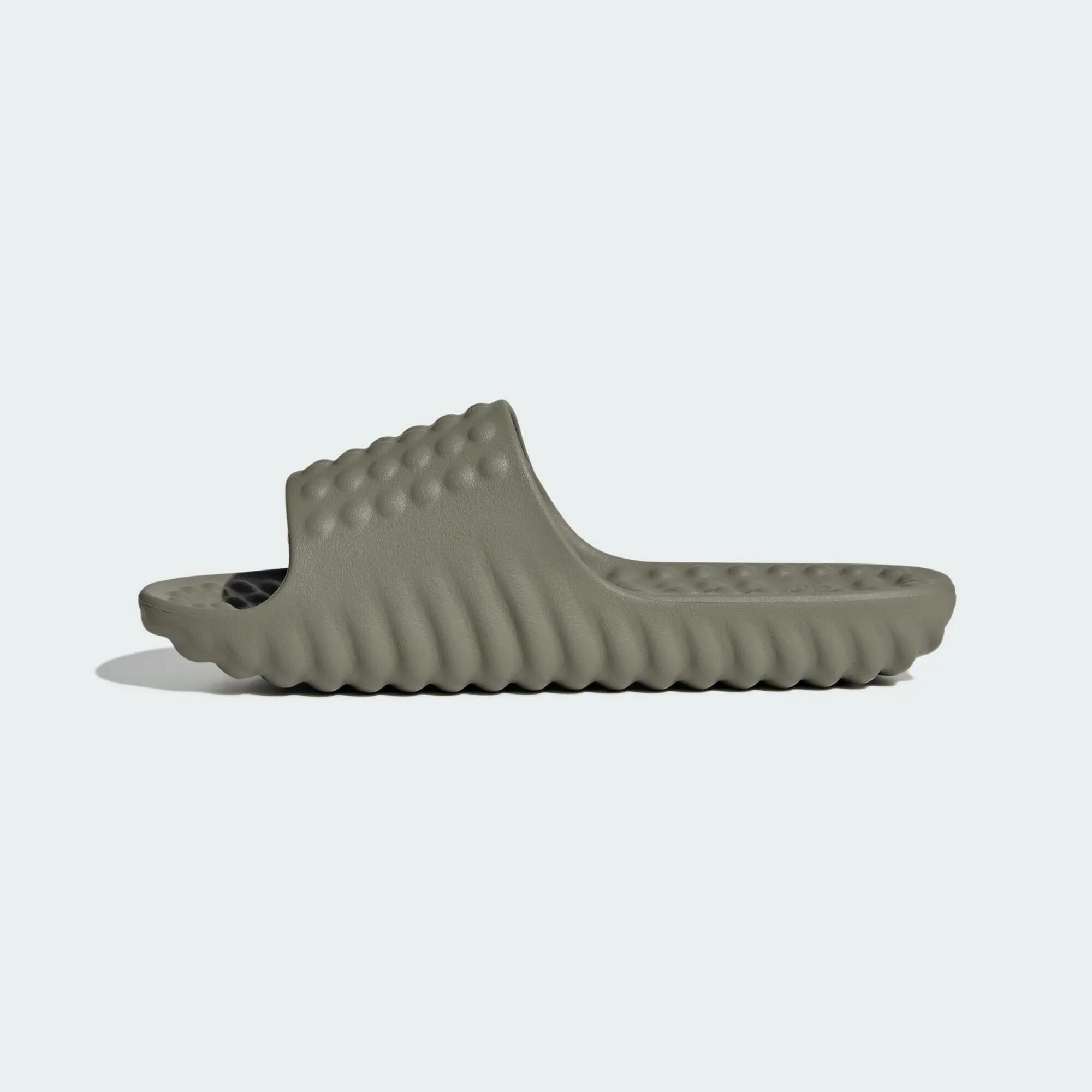 Adissage 360rec Slides 8/16