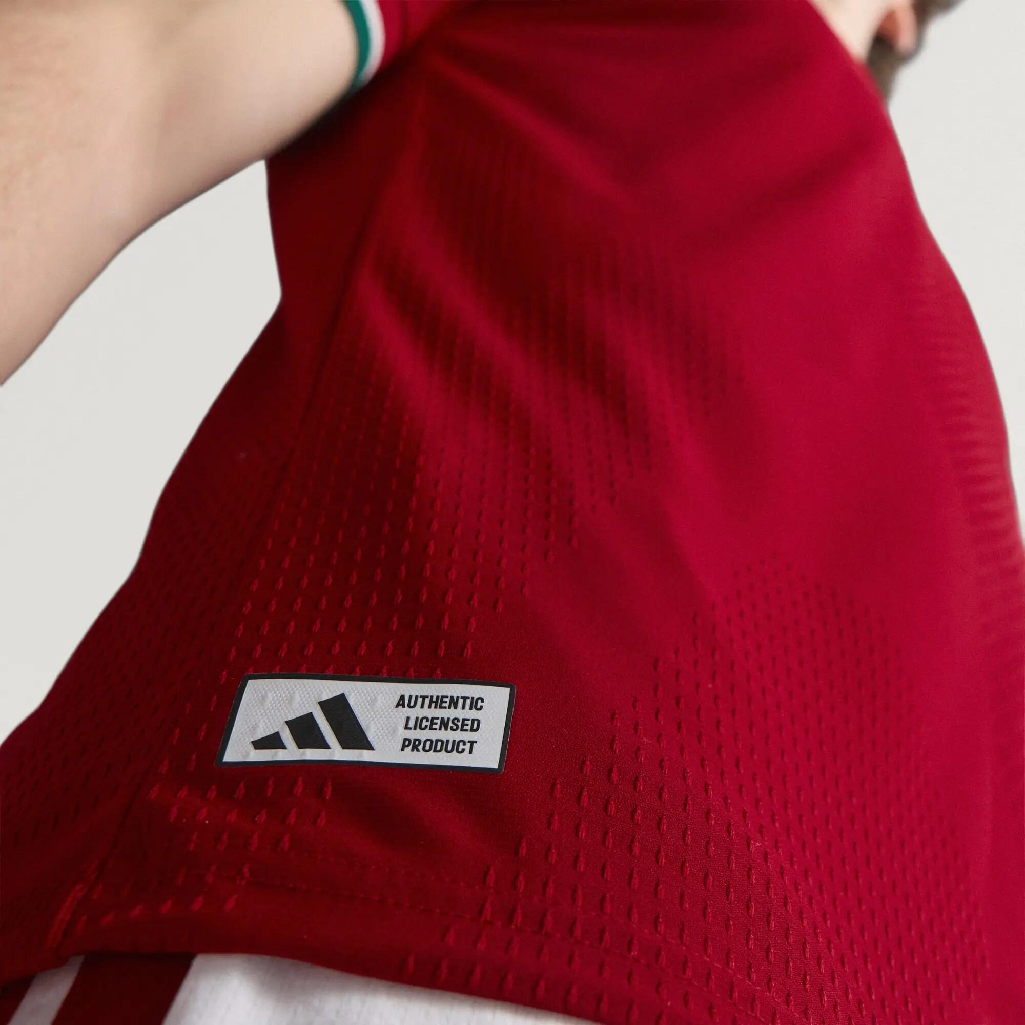 Maillot Domicile Hongrie 26 Authentique 14/15