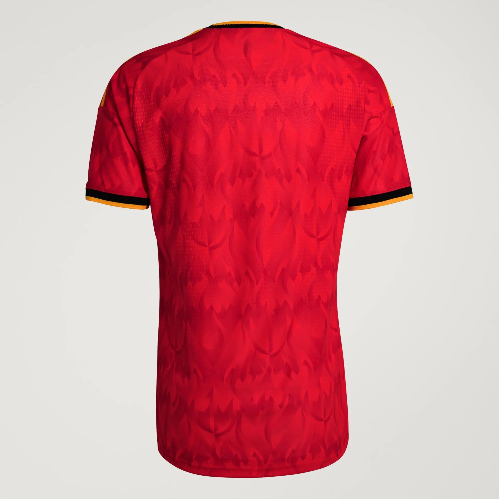 België 26 Authentiek Thuisshirt 10/15