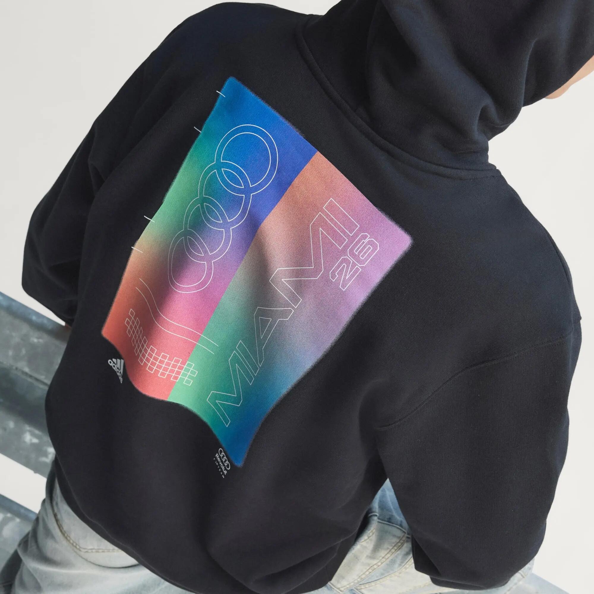 AUDI REVOLUT F1 TEAM TEAMGEIST HOODIE 10/12