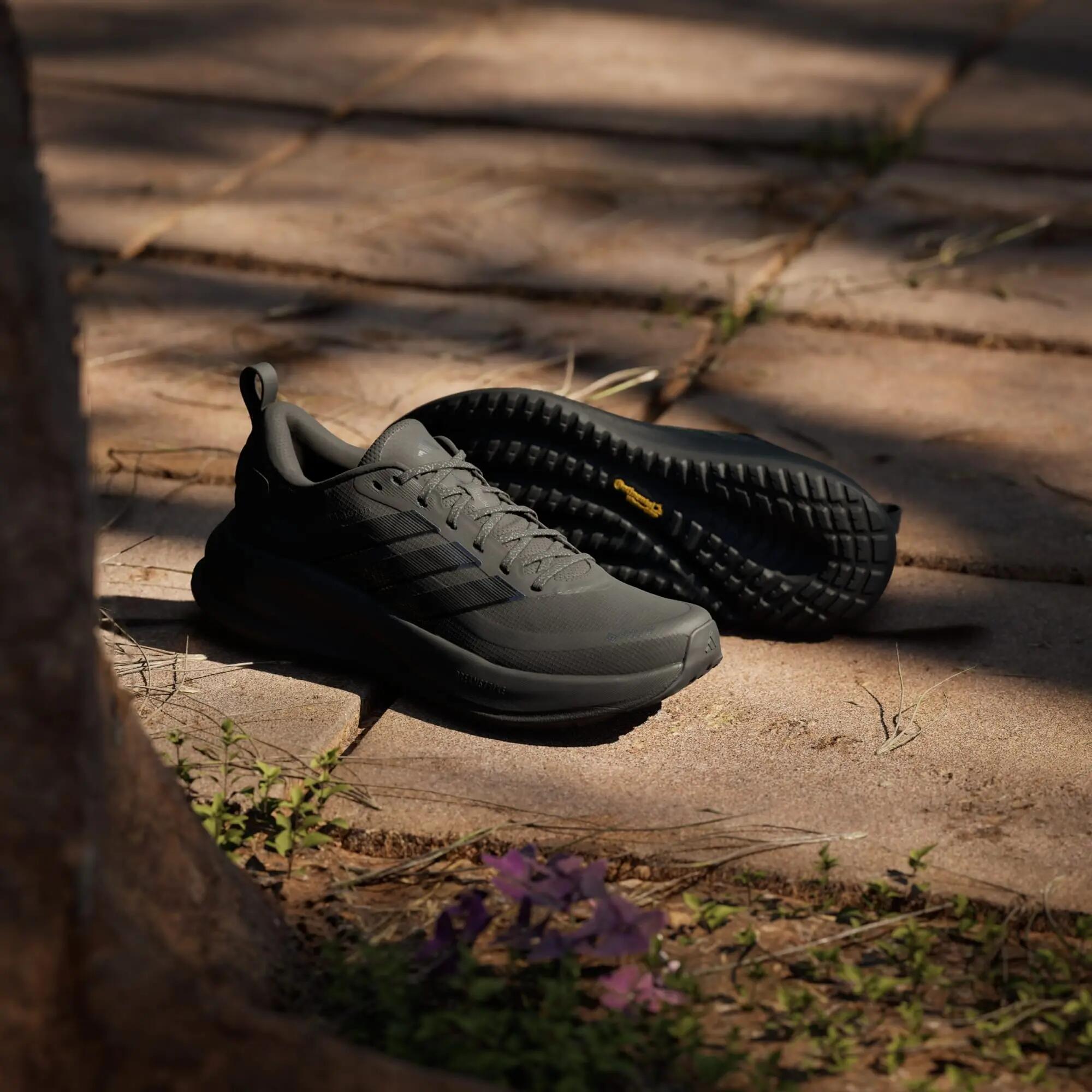SUPERNOVA EASE 2 GTX LAUFSCHUH 6/15