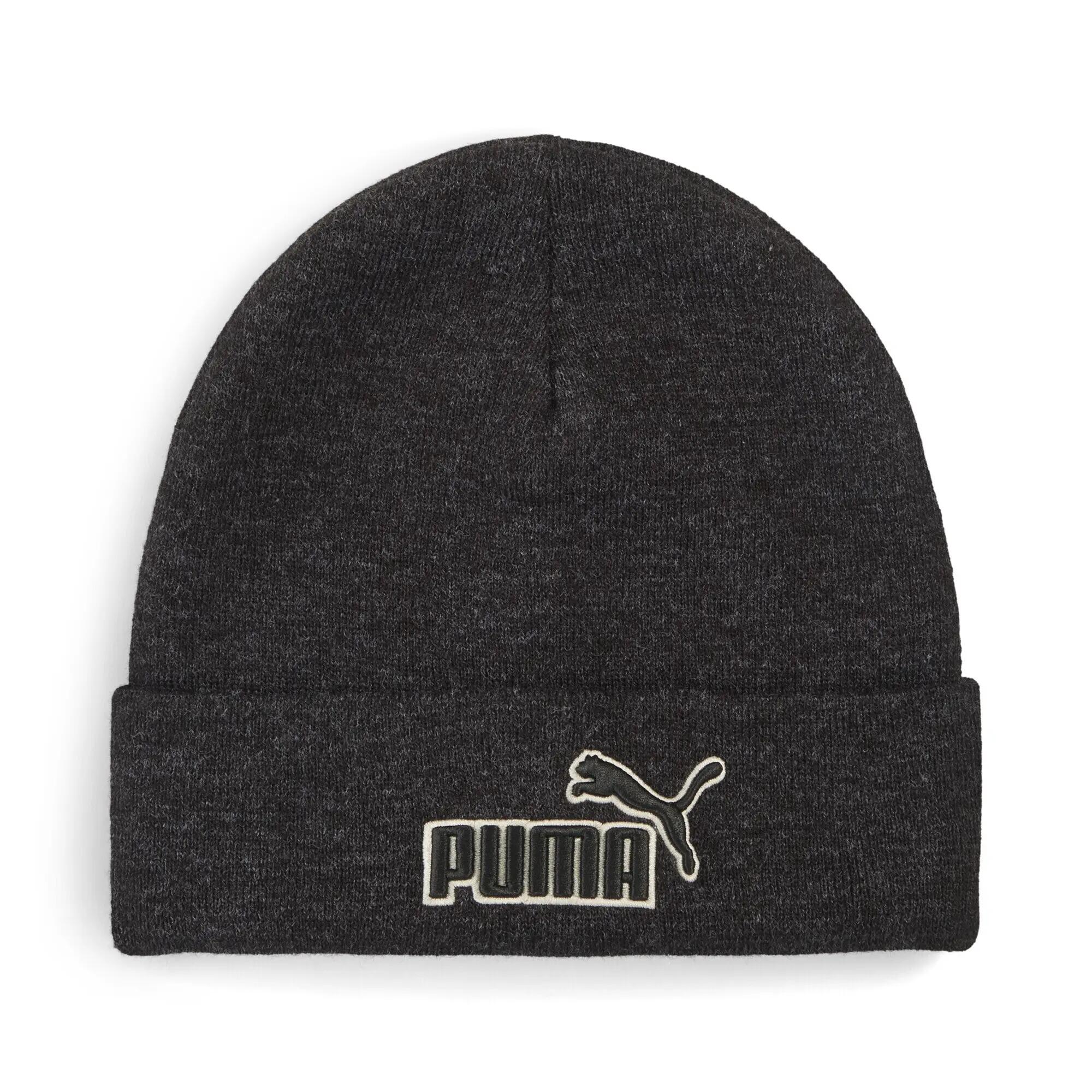 PUMA picture