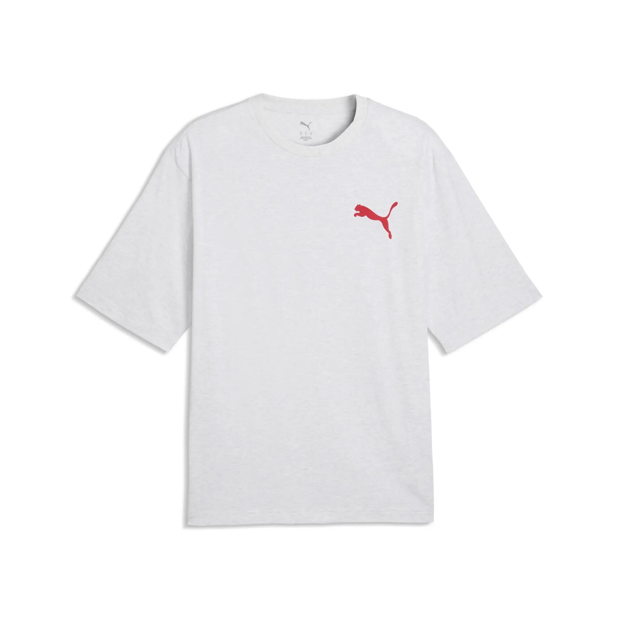 PUMA picture