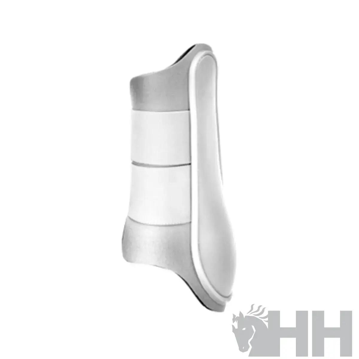 HISPANO HIPICA picture