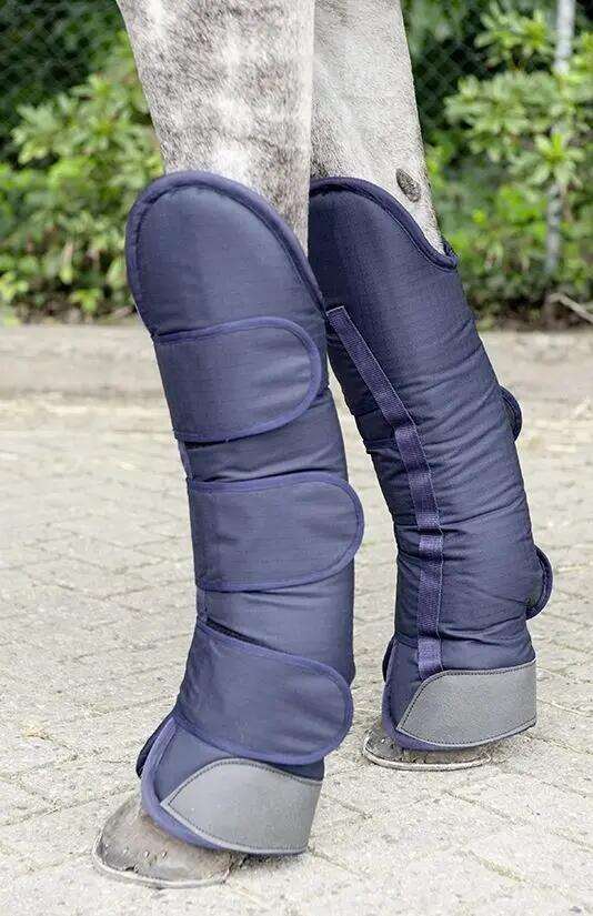 Guêtres de transport pour cheval HKM Premium 5/5