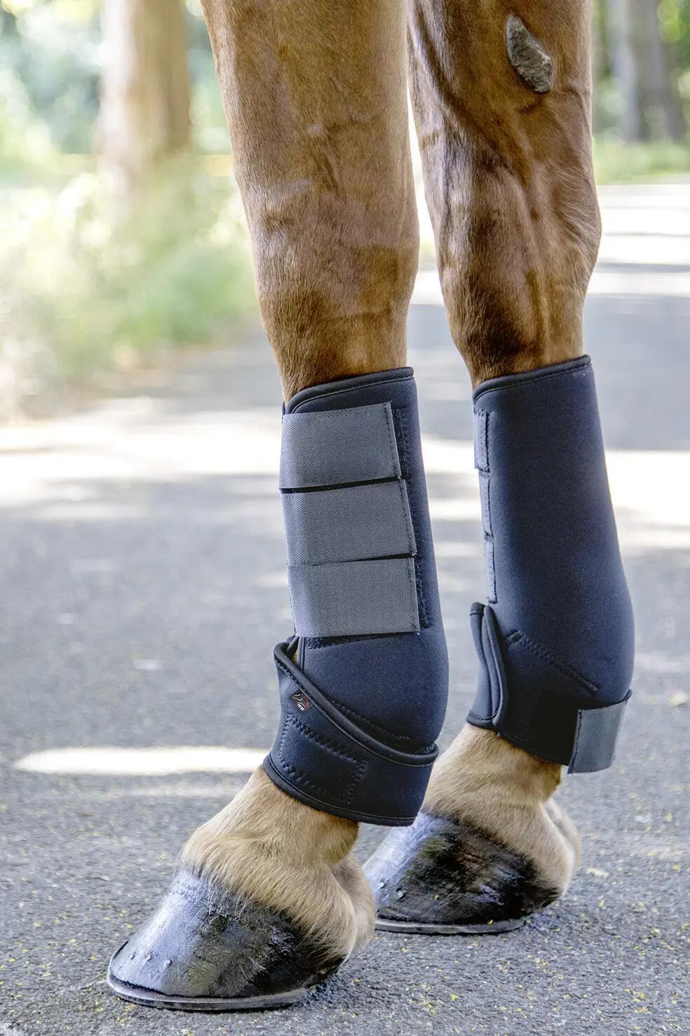 Guêtres Antérieurs para Cavalo Fechadas Softoprène HKM 3/4