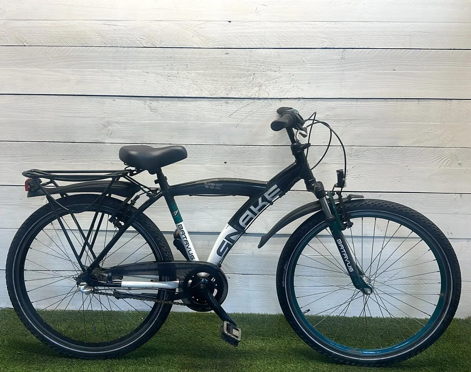 BATAVUS picture