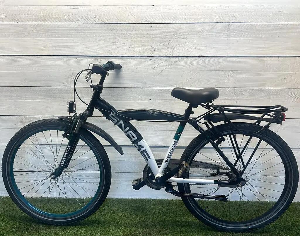 Bicicletta usata Batavus Snake 4/4