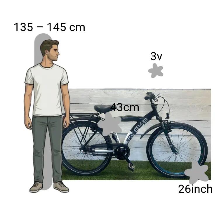 Bicicletta usata Batavus Snake 2/4