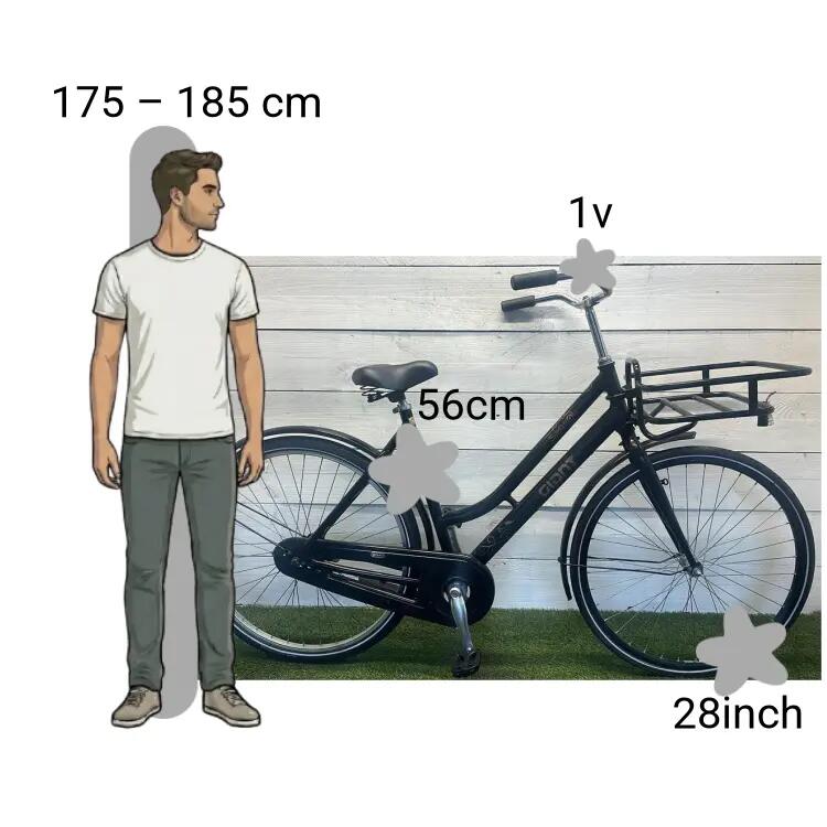 Bicicletta usata Giant Single 4U 2/4