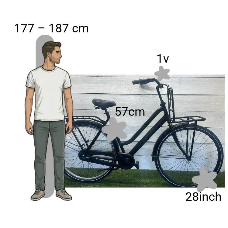 Bicicletta usata BSP Metropolis 2/4