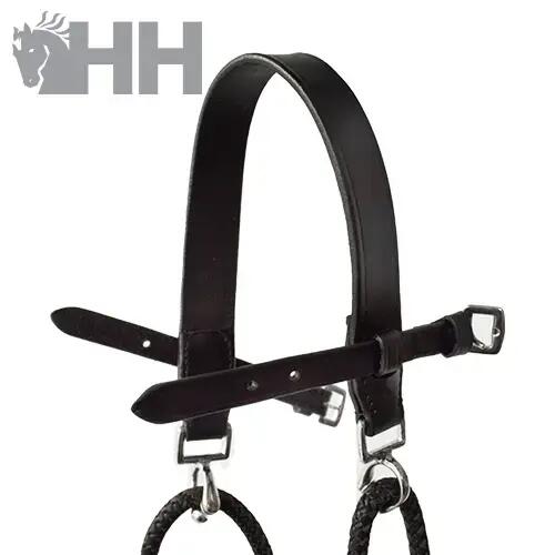 Gogue per cavallo Hispano Hipica 2/4