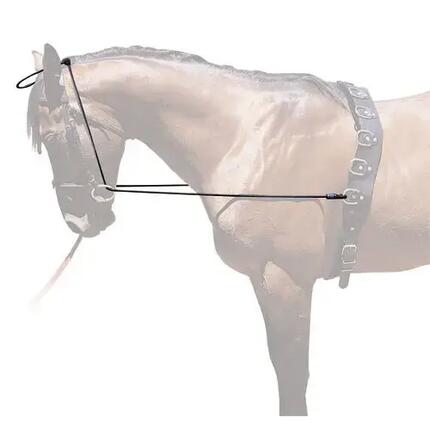 Enrênement élastique pour cheval Hispano Hipica