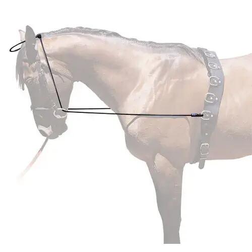 Enrênement élastique pour cheval Hispano Hipica