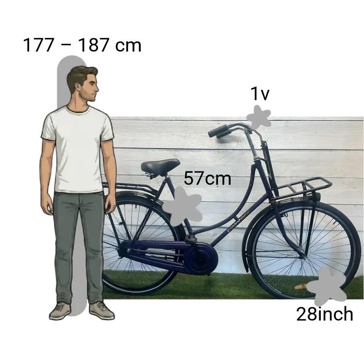 Bicicleta usada Pointer Transportfiets 2/4
