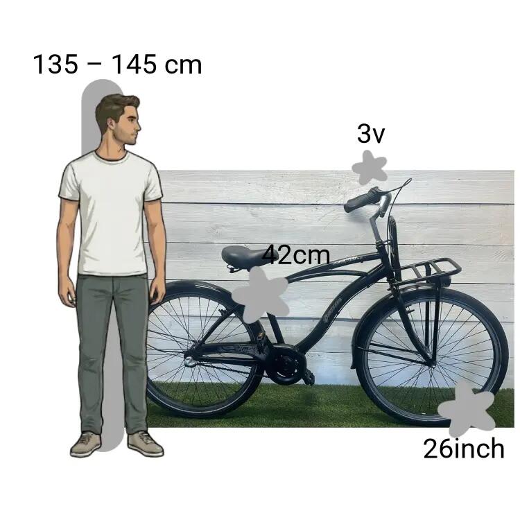 Bicicletta usata Gazelle Transportfiets 2/4