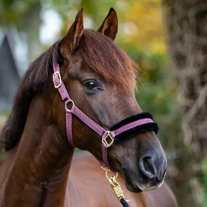 Licol pour cheval avec fausse fourrure Kavalkade Gretchen 3/3