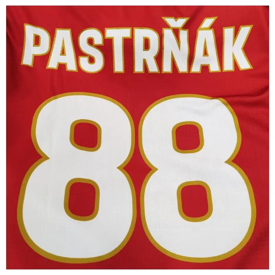 Reprezentační dresreklamou Pastrňák, Senior 3/3