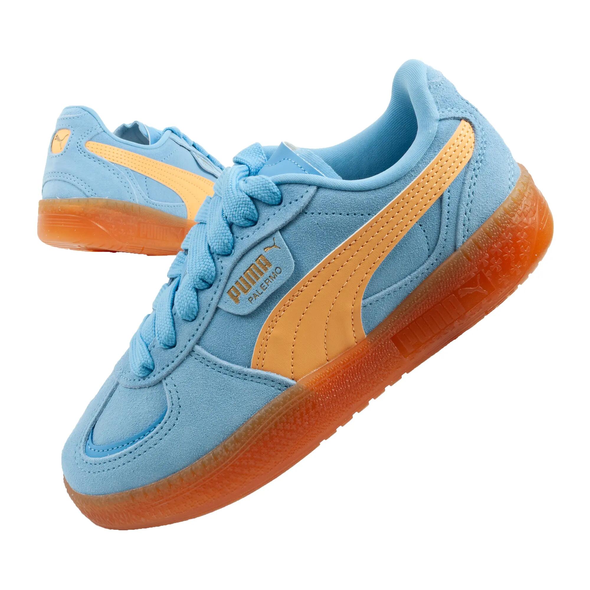 PUMA picture