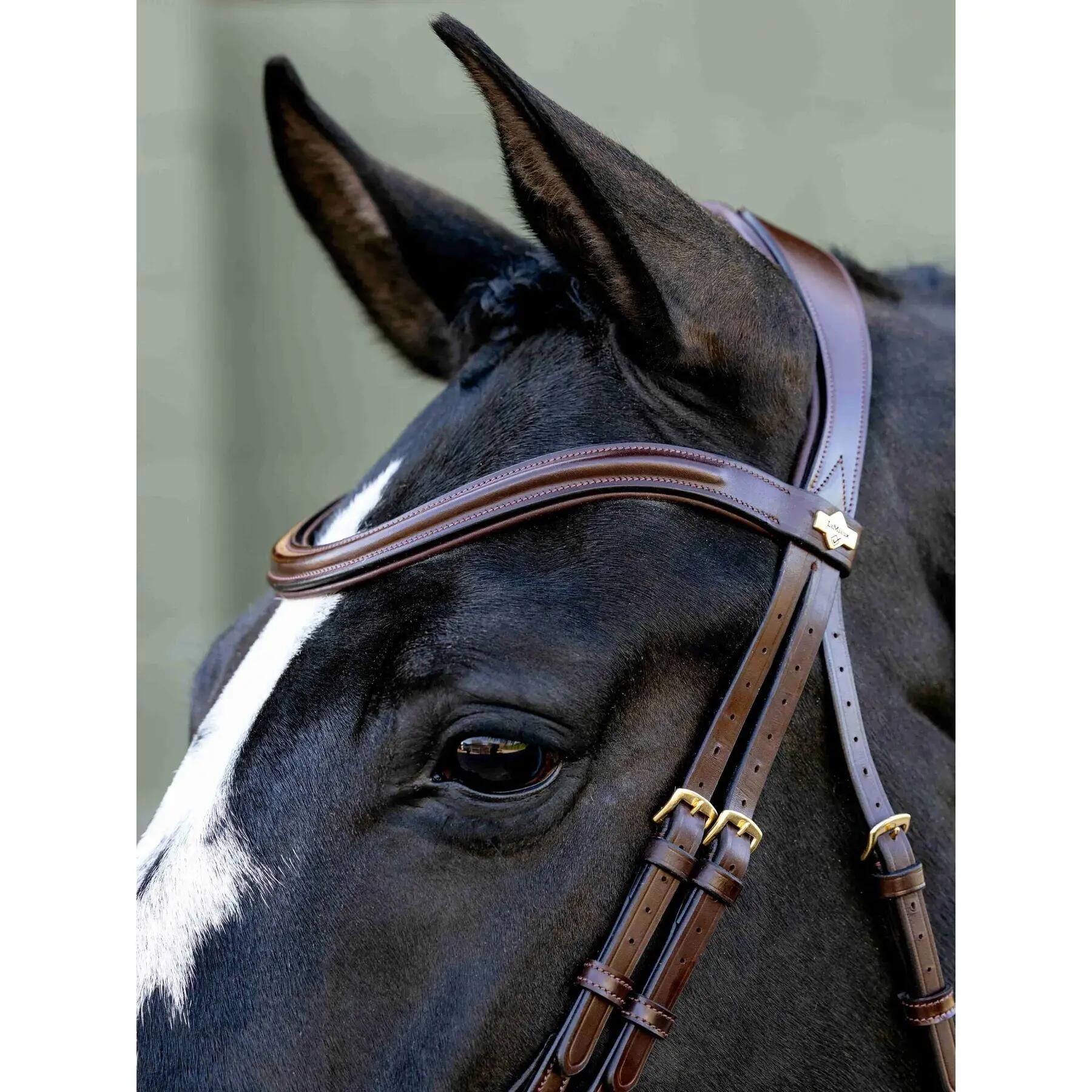 Hoofdstellen voor paarden LeMieux 4/6