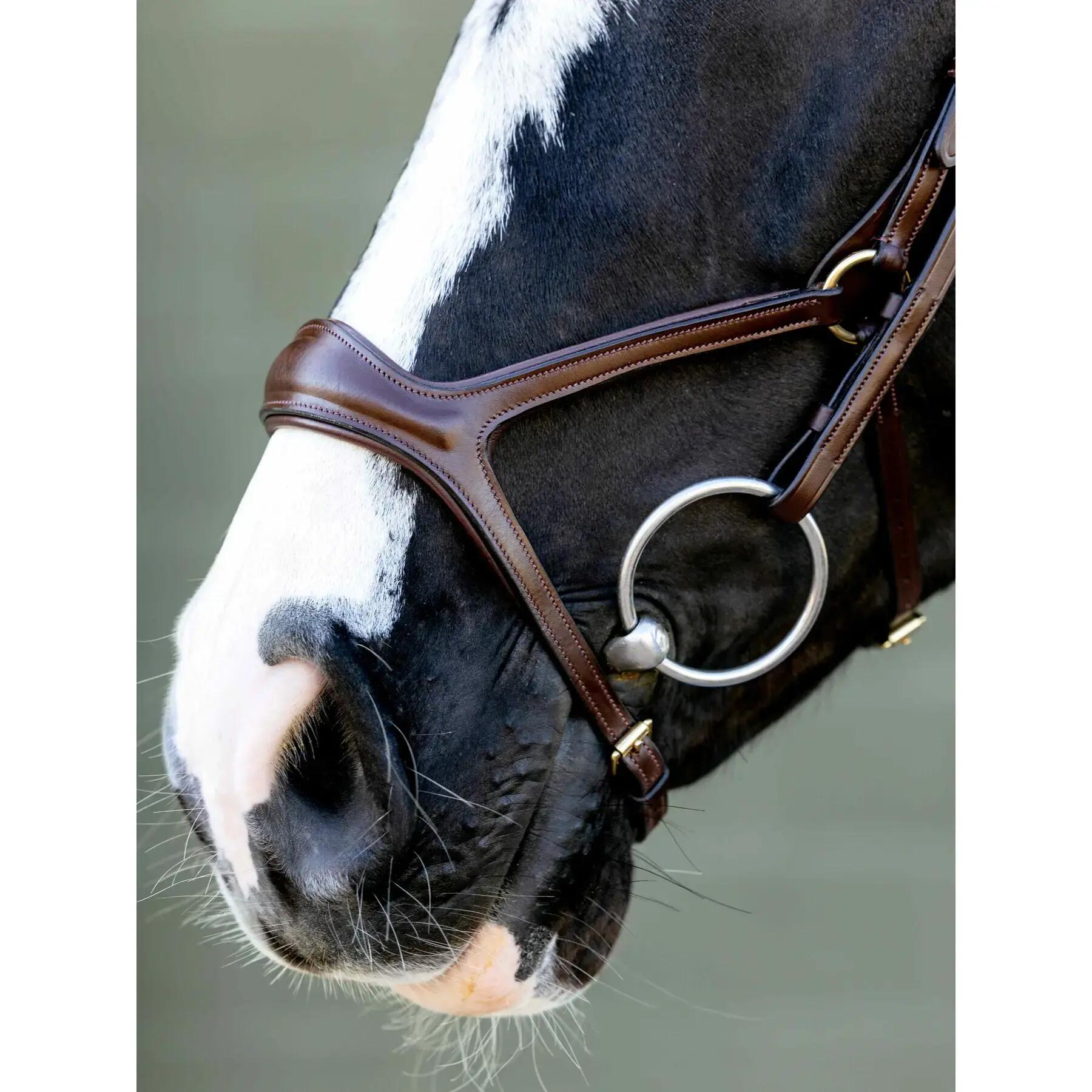 Hoofdstellen voor paarden LeMieux 3/6