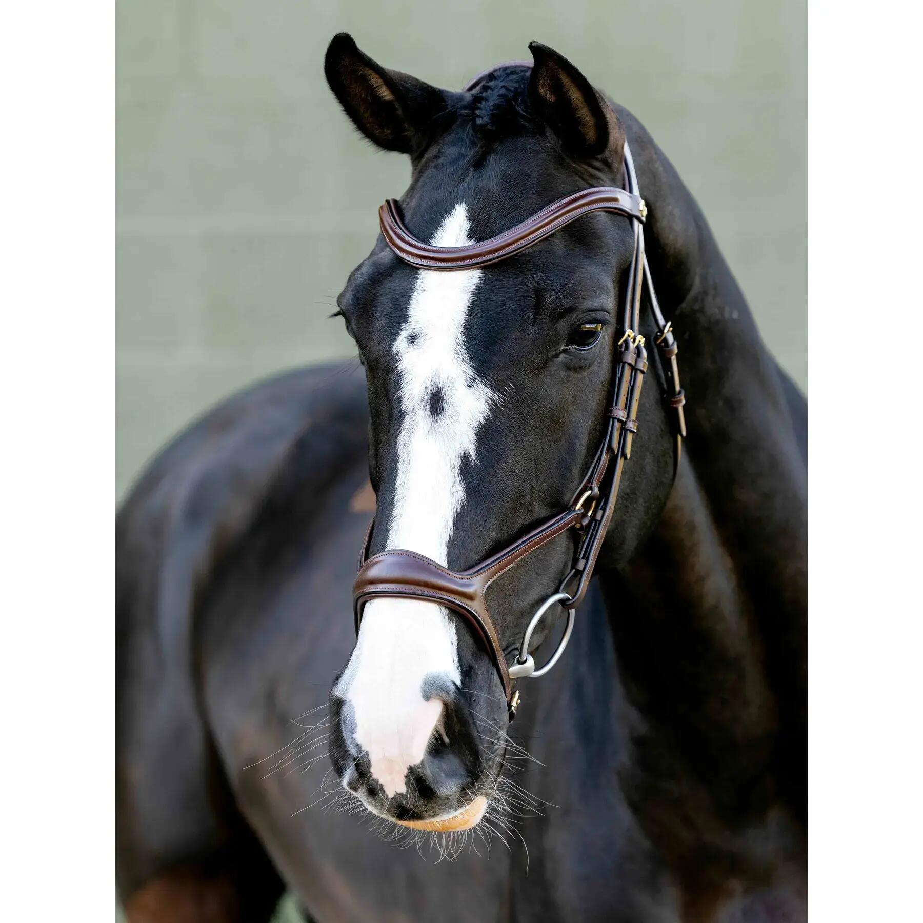 Hoofdstellen voor paarden LeMieux 2/6
