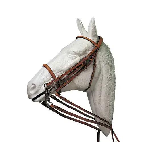 HISPANO HIPICA picture