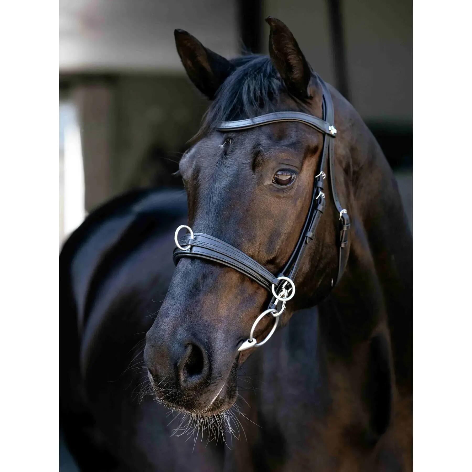 Caveçon pour cheval LeMieux 2/4