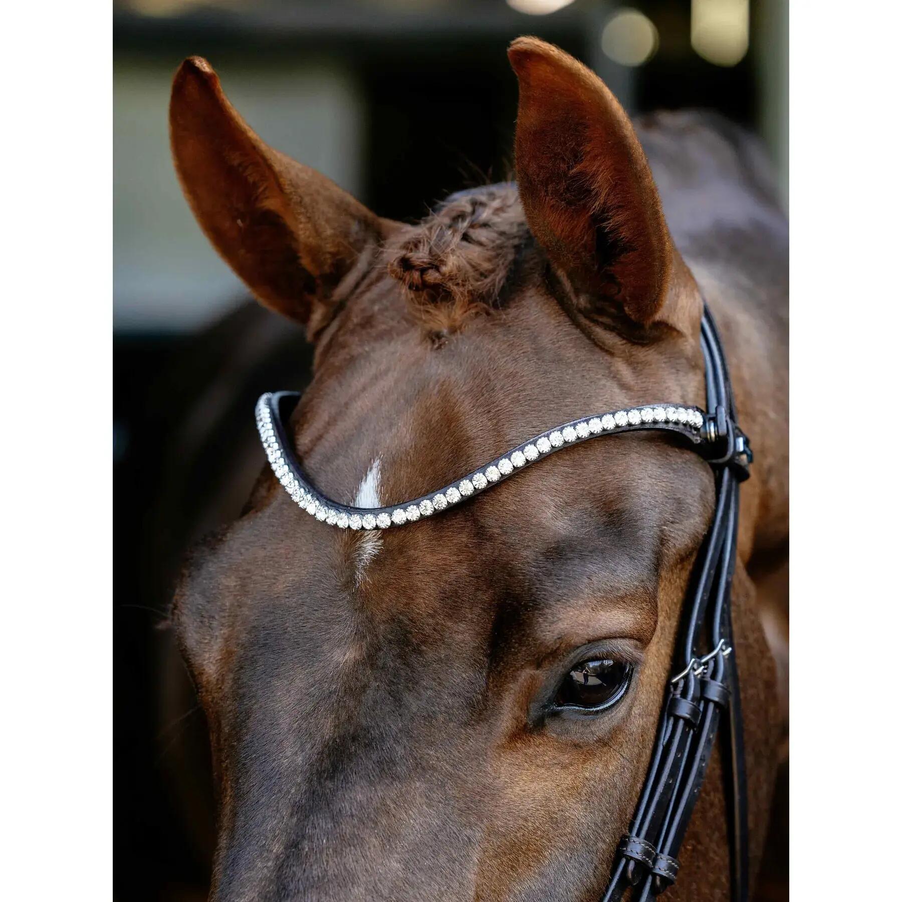 Anatomische paardenruiters biedingen LeMieux 4/6