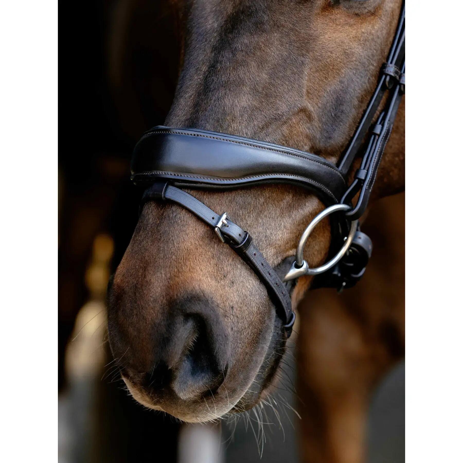 Anatomische paardenruiters biedingen LeMieux 3/6