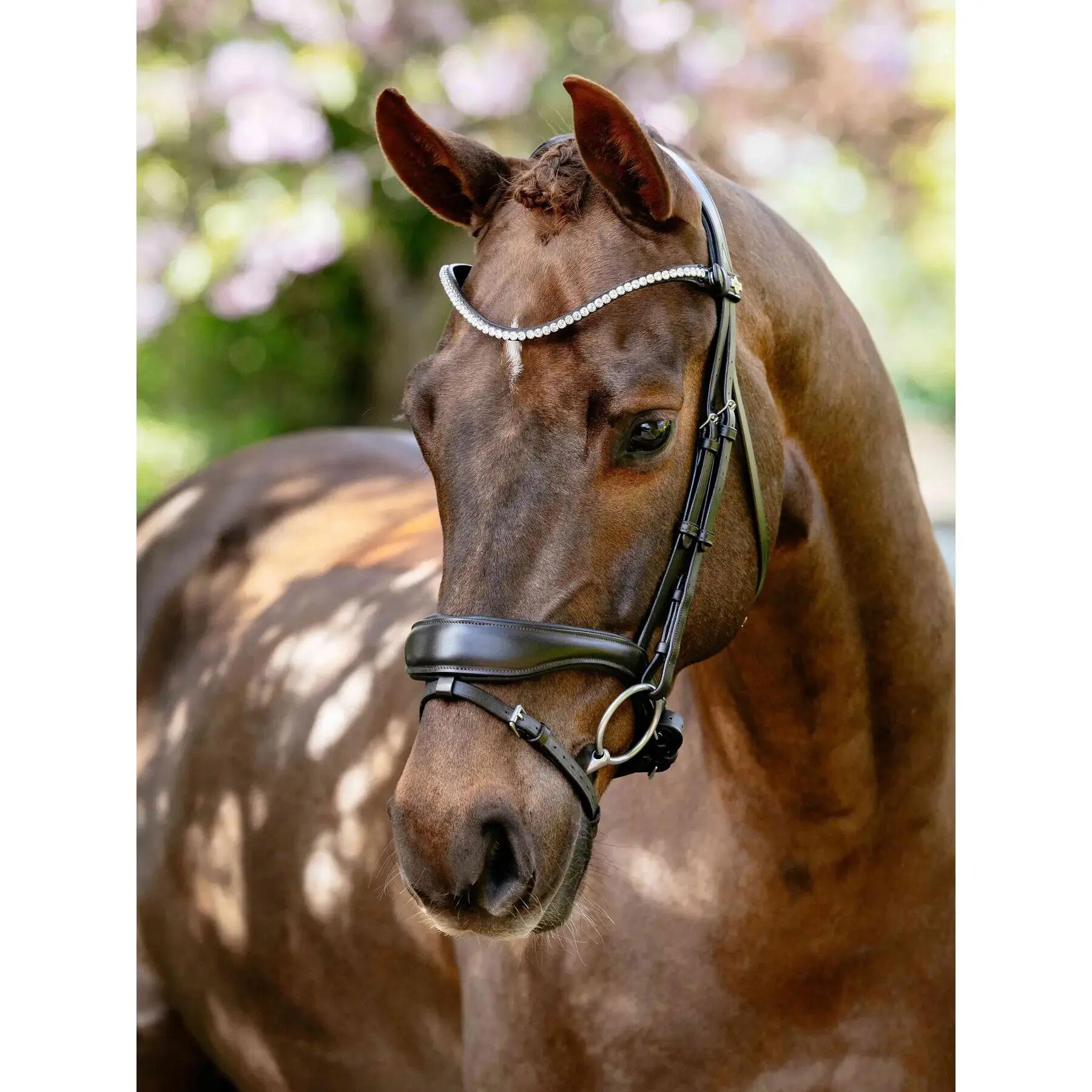 Anatomische paardenruiters biedingen LeMieux 2/6