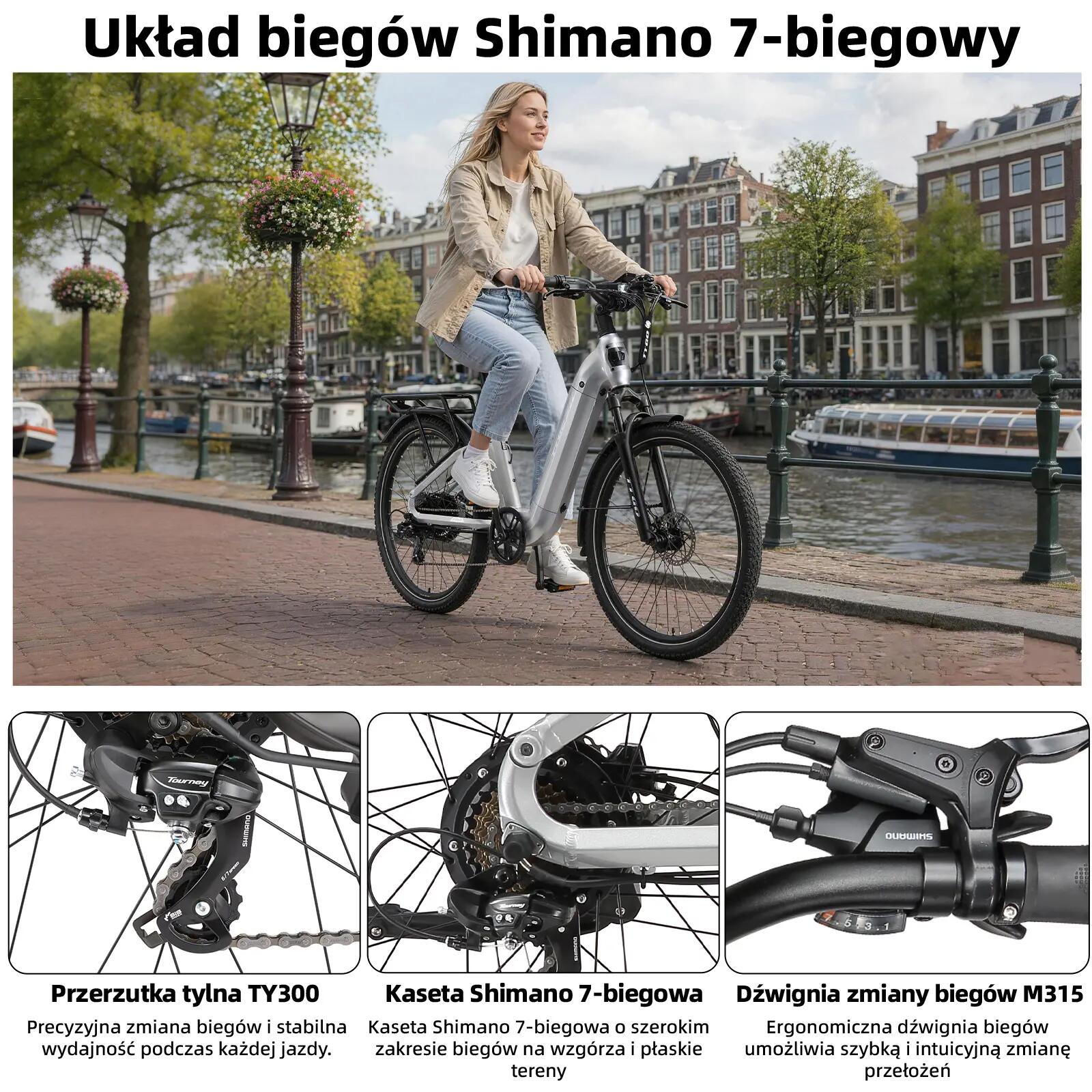 TTGO E-SUVO elektryczny rower dla dorosłych 250W silnik 48V15Ah bateria 13/15