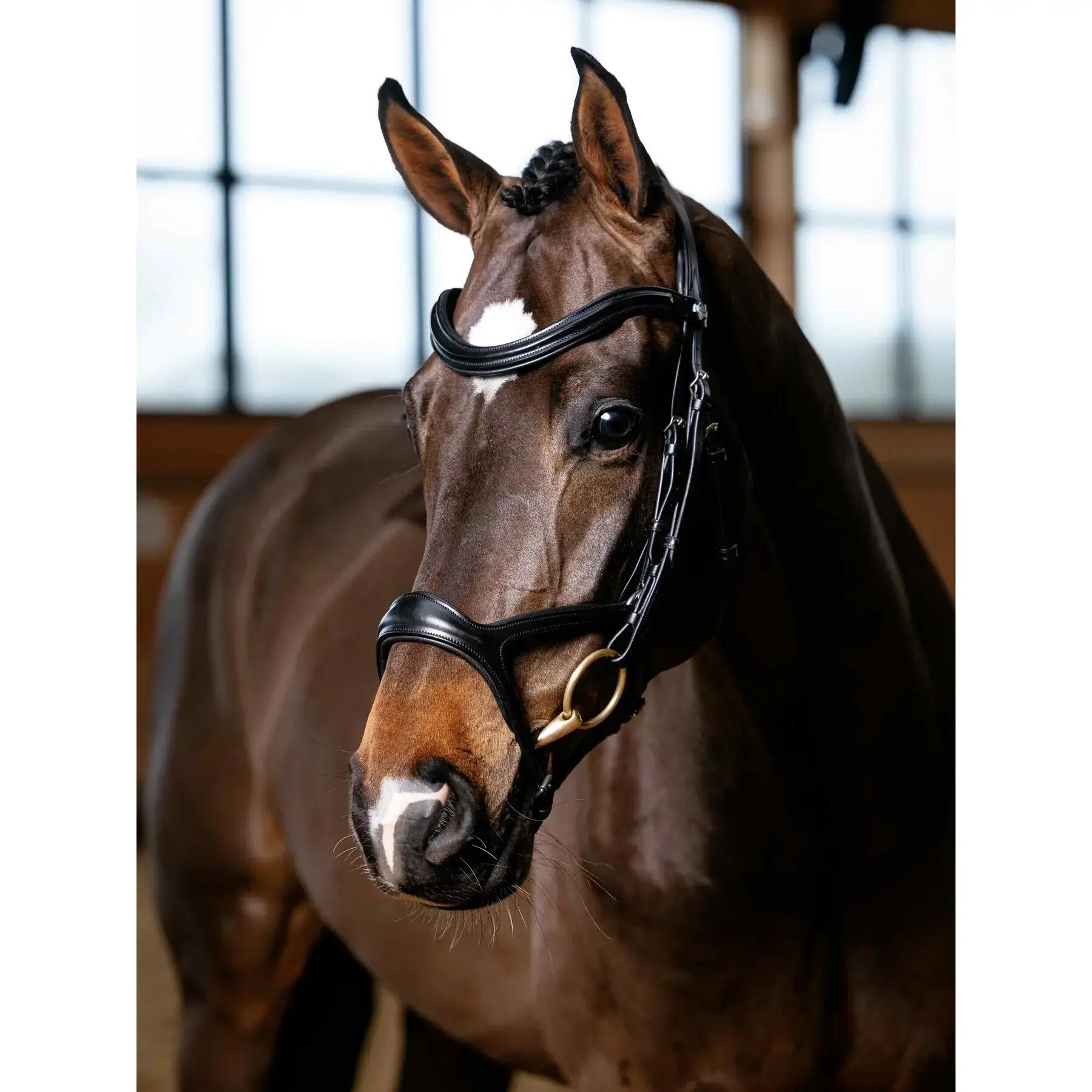 Bridons équitation pour cheval LeMieux Kudos 2/6
