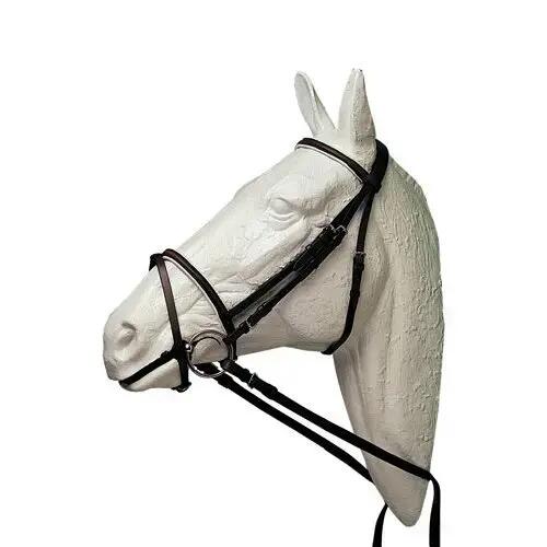 HISPANO HIPICA picture