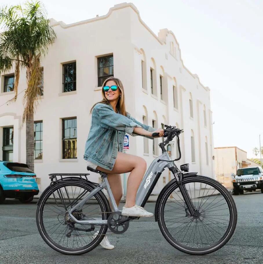 E-Bike für Erwachsene OT05 Pro, Reifen 700C × 50C, 36V-22,5Ah-Akku. 7/7