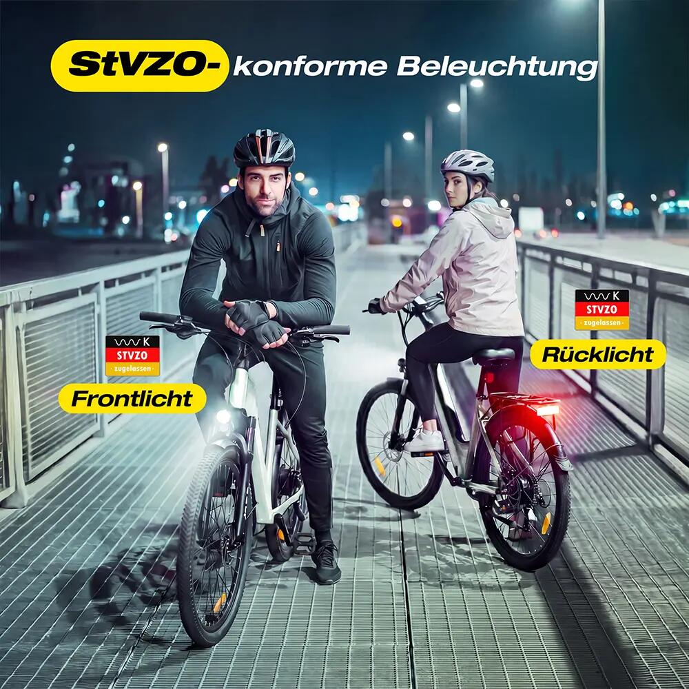 Bici elettrica ESKUTE C202 Motore 250W Batteria 48V 17,5Ah Pneumatici 26" 9/10