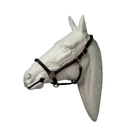 HISPANO HIPICA picture