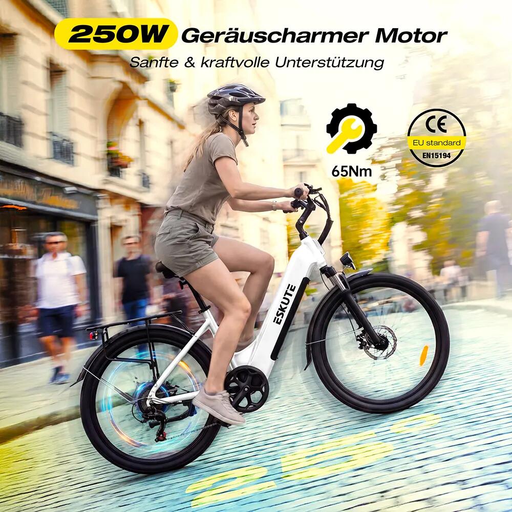 Bici elettrica ESKUTE C202 Motore 250W Batteria 48V 17,5Ah Pneumatici 26" 5/10