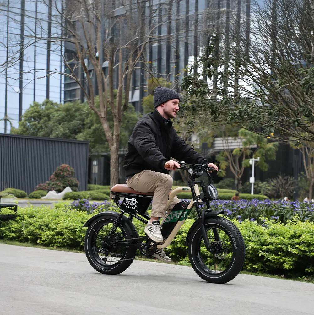 Elektrische fiets voor volwassenen ONESPORT W66, 48V 13,5Ah-accu 6/14