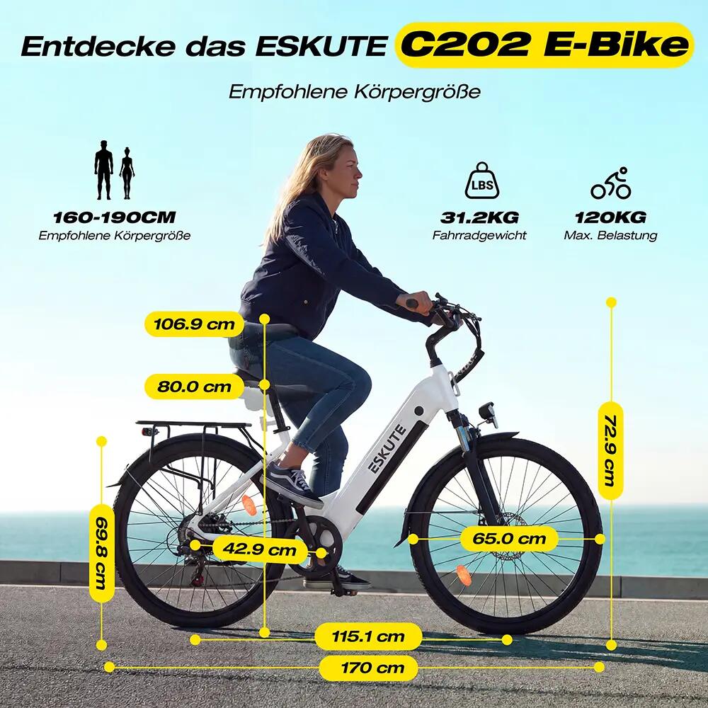 Bici elettrica ESKUTE C202 Motore 250W Batteria 48V 17,5Ah Pneumatici 26" 10/10
